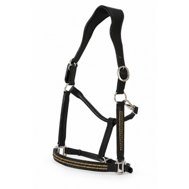 Cavezza Power Black Gold One Row