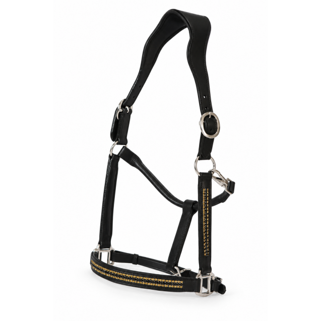 Cavezza Power Black Gold One Row