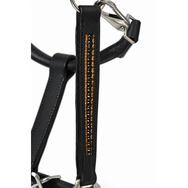 Cavezza Power Black Gold One Row