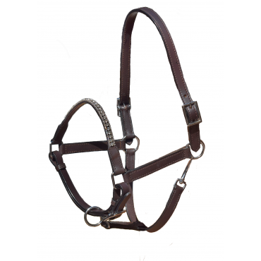 PREORDER Halter Young Horses 3 Row 